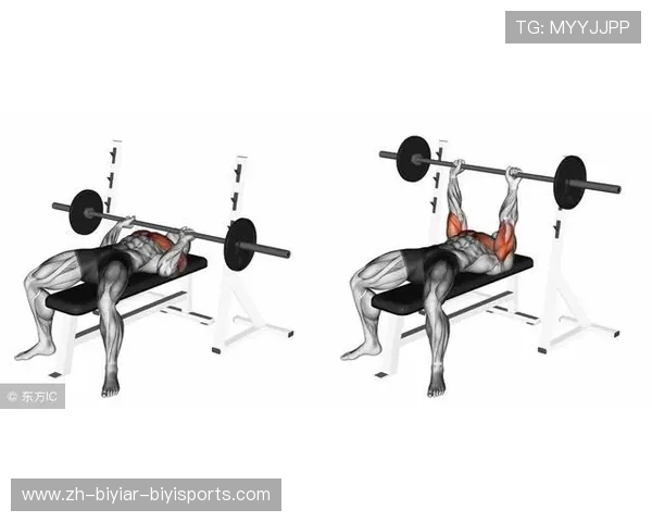 肩举健身器材功能介绍及常见训练动作解析